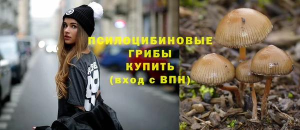 дживик Вязники