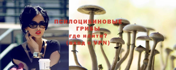 spice Вяземский
