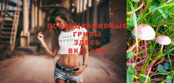 каннабис Слюдянка