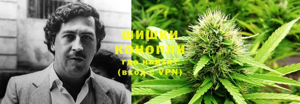дмт Вязьма