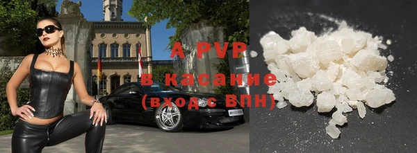 spice Вяземский